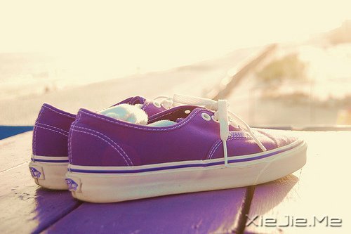 ����������������������� (6)