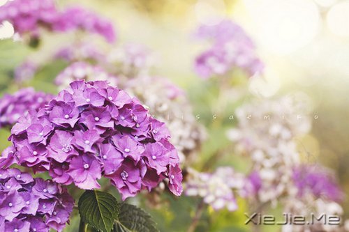 �������ϣ���������ʽ