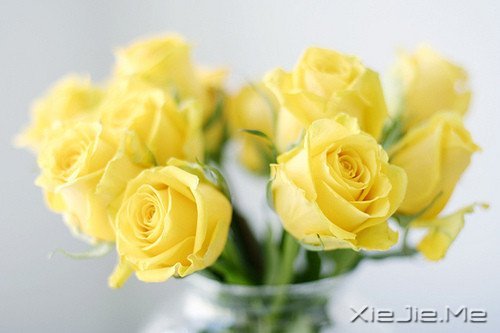 ������¼��ֻҪ�ʺ��Լ��������Ҹ� (1)