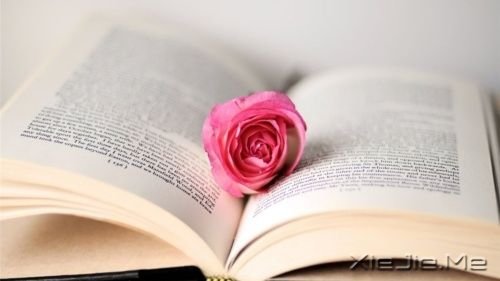 ÿ���˵��ഺ����һ����·����Ҫ�Լ���