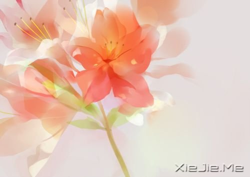 ����·�ϵ�50��������� (3)