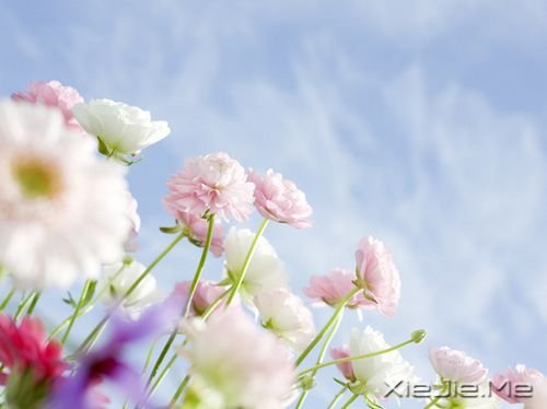 Ψ���Ļ���ͼƬ (1)